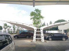 完工項目：平湖市廣陳鎮人民政府膜結構項目