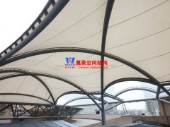 膜結構與膜有什么區別？膜結構有哪些類別？